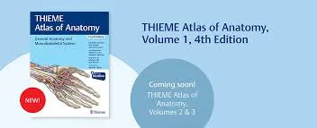 shop.thieme.de