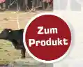 stephanshof.de